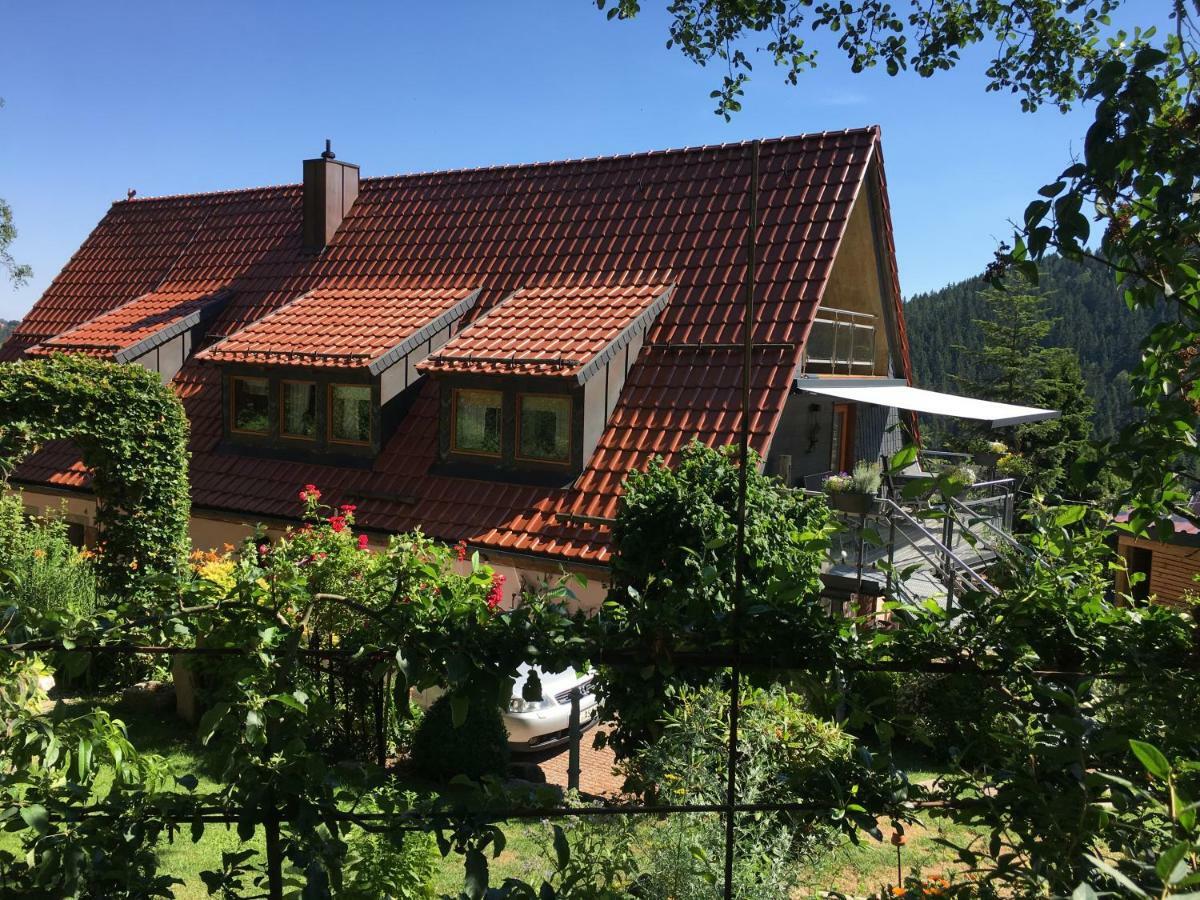 Ferienwohnung Wildenreuth Weidenberg Esterno foto