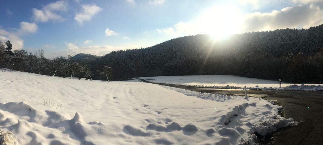 Ferienwohnung Wildenreuth Weidenberg Esterno foto